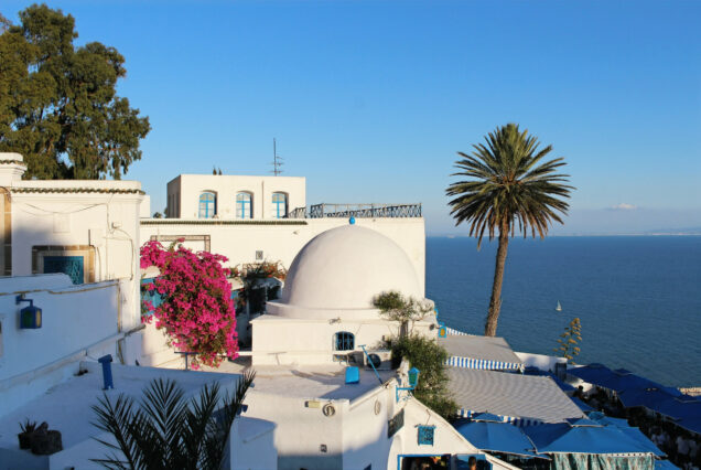 Half-Day Tour to Carthage & Sidi Bou Said