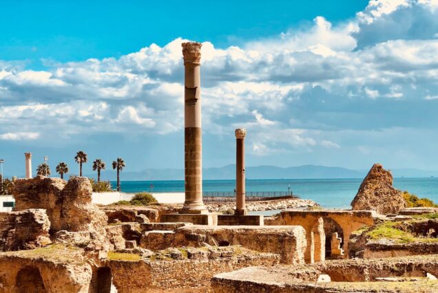 Full-Day Tour to Carthage, Sidi Bou Said, Bardo Museum & Tunis Medina