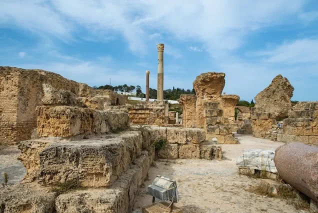 Half-Day Carthage & Medina Private Tour