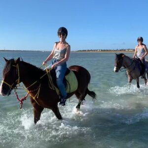 Djerba: Horseback Riding Through the Lagoon & Berber Villages