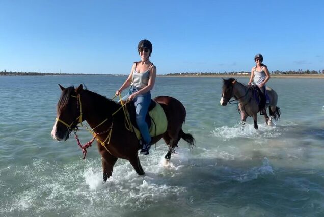 Djerba: Horseback Riding Through the Lagoon & Berber Villages