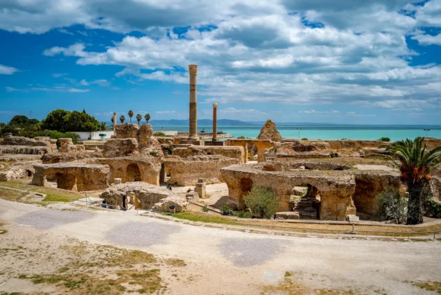 Carthage & Tunis Medina Half-Day Private Tour
