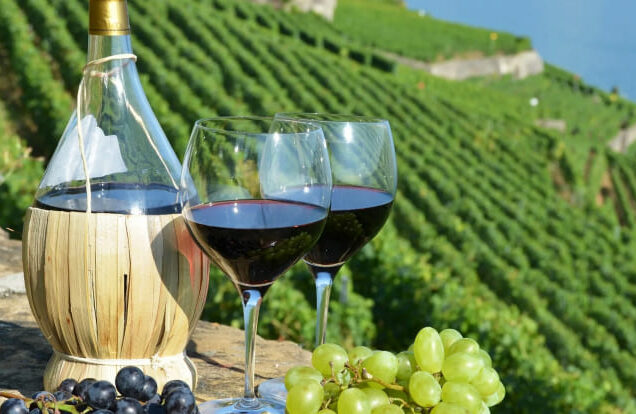 Taste the Finest Wines of Tunisia in a Private Half-Day Escape